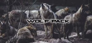 Wolf Pack